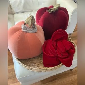 Apple LARGE Designer “Oi San Francisco” Deco Pillows